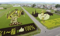 Cánh đồng lúa đầy nghệ thuật ở Nhật Bản