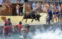 Lễ hội đấu bò bên bờ biển ở Tây Ban Nha